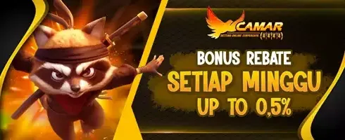 Cashback VIP Mingguan 0.5% promotion banner