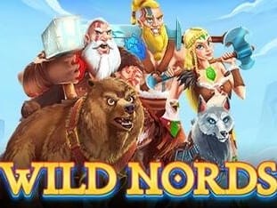 Wild Nords game screenshot